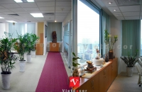 Thiết kế và thi công nội thất văn phòng Aviva